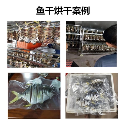 水產(chǎn)品烘干機(jī) 高效加工魚干與蝦干的現(xiàn)代化解決方案