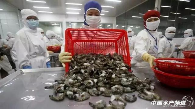 加拿大零售蝦產(chǎn)品驚現(xiàn)“超級細(xì)菌”，加工廠感染疑為源頭