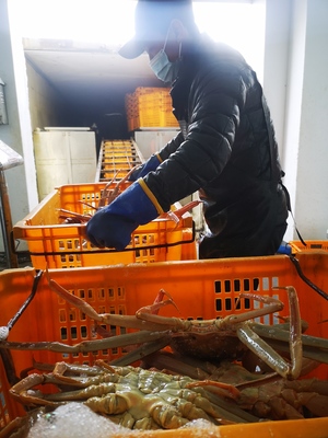 新春走基層丨“蟹”逅琿春 海產(chǎn)品加工探秘