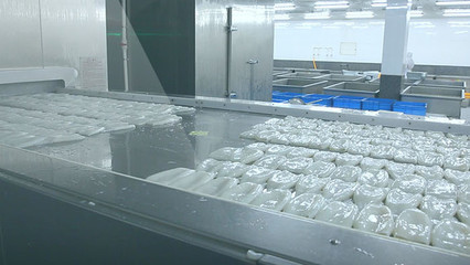 海產品加工 從海洋到餐桌，主圖素材的藝術與科學