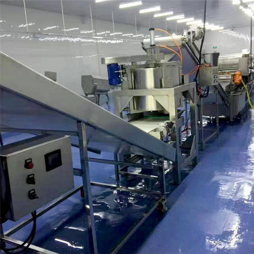 海產(chǎn)品氣泡翻滾式清洗機(jī)廠家多重優(yōu)惠，品質(zhì)保障，長(zhǎng)期有效